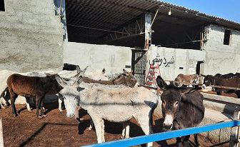 پایگاه خبری ندای کهریزک