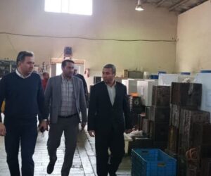 بازدیدهای نوبه‌ای سرپرست بخشداری کهریزک / شرکت بازرگانی قندی تویز