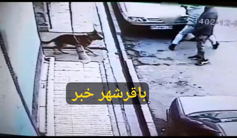 پایگاه خبری ندای کهریزک