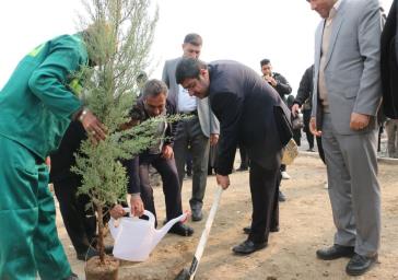 امروز به نام نامی شهدا درختانی سرو قامت در خاک می نشانیم تا رهرو راه سبز امام حسین باشیم