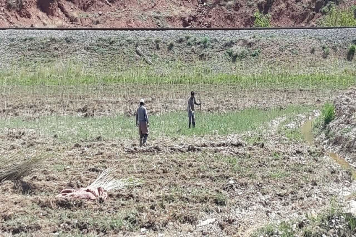 رفع تصرف بیش از 8 هزار متر مربع از بستر رودخانه حبله رود در محدوده شهرستان فیرورزکوه