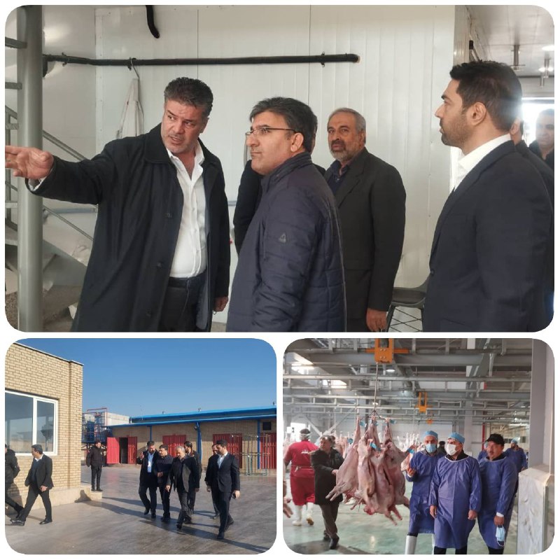 مدرن ترین کشتارگاه صنعتی خاورمیانه در ری به بهره برداری می‌رسد معاون هماهنگی امور اقتصادی استاندار تهران از بهره برداری…