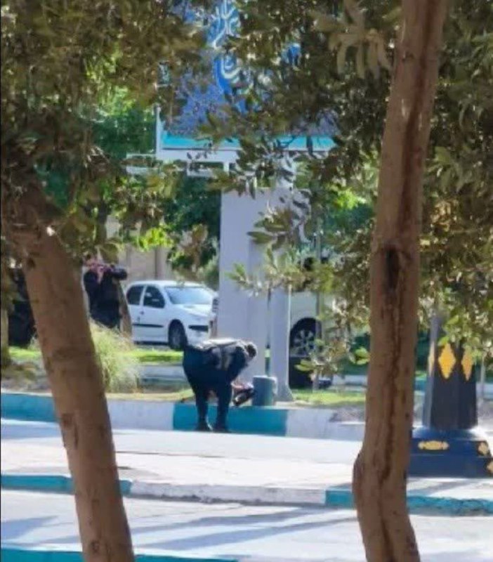 پایگاه خبری ندای کهریزک