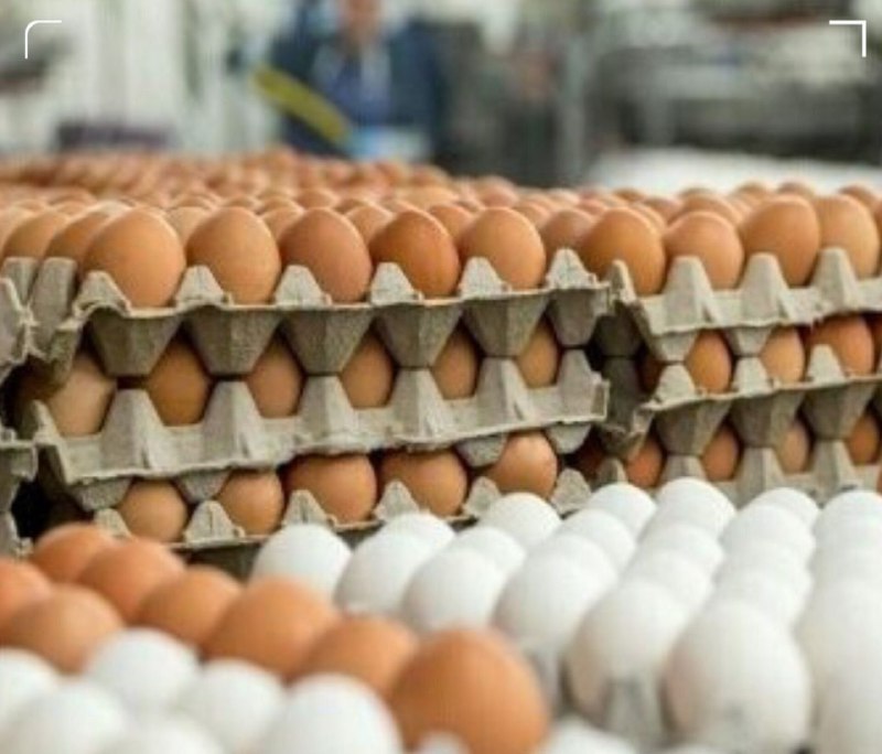 پایگاه خبری ندای کهریزک