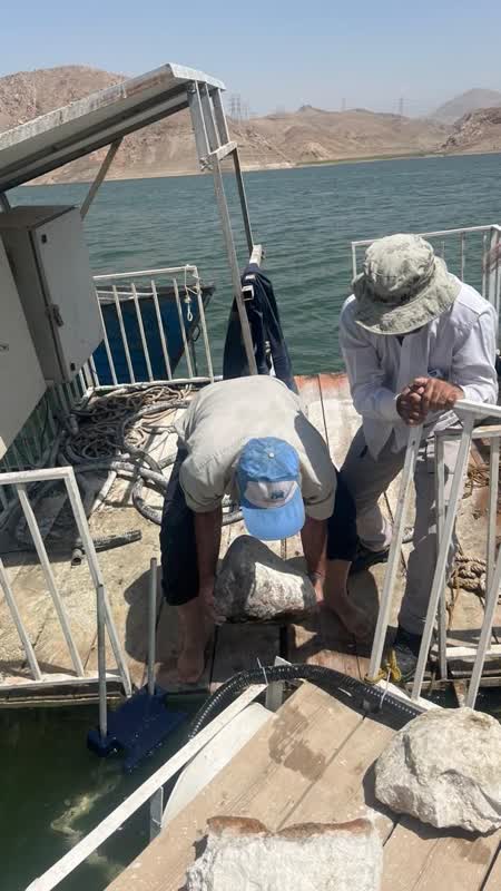 نصب چهار دستگاه حذف جلبک با تکنولوژی آلتراسونیک در دریاچه سد ماملو